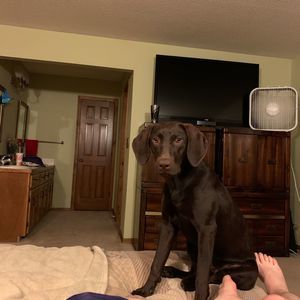 Meet your Posher, Jason